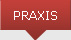 Praxis