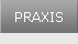 Praxis